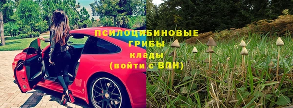 spice Осташков