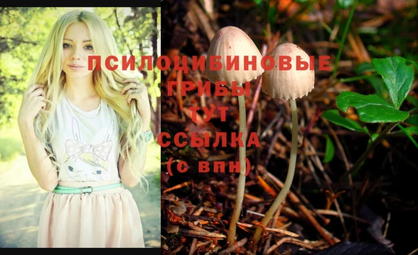 кокс Осинники