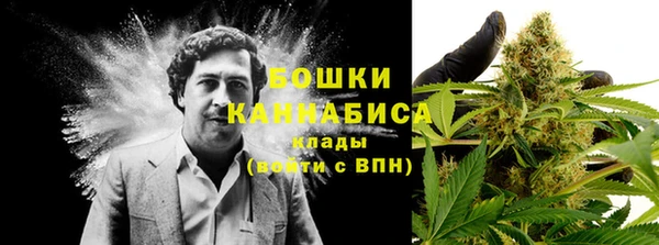 spice Осташков