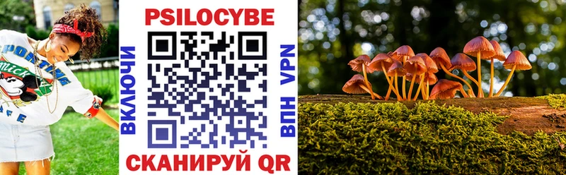 Псилоцибиновые грибы Psilocybe Арсеньев