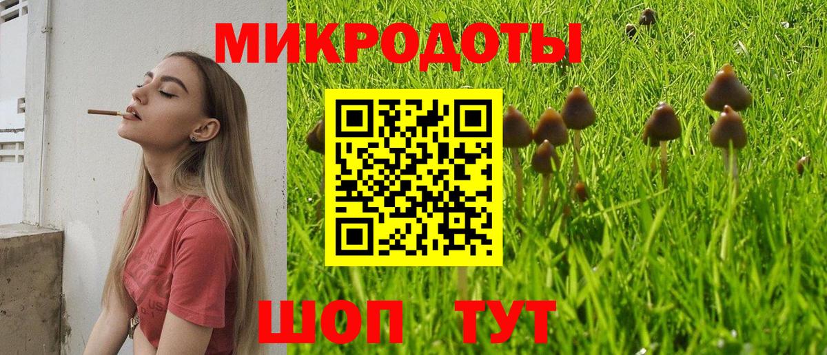 Галлюциногенные грибы MAGIC MUSHROOMS  Вход с VPN  Арсеньев 